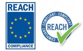 REACH logo
